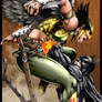 Batman and Hawkwoman