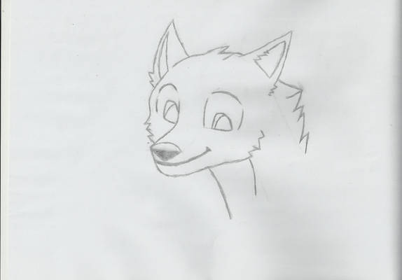 Fox Drawing (No Shading) - Helped by Vanochi