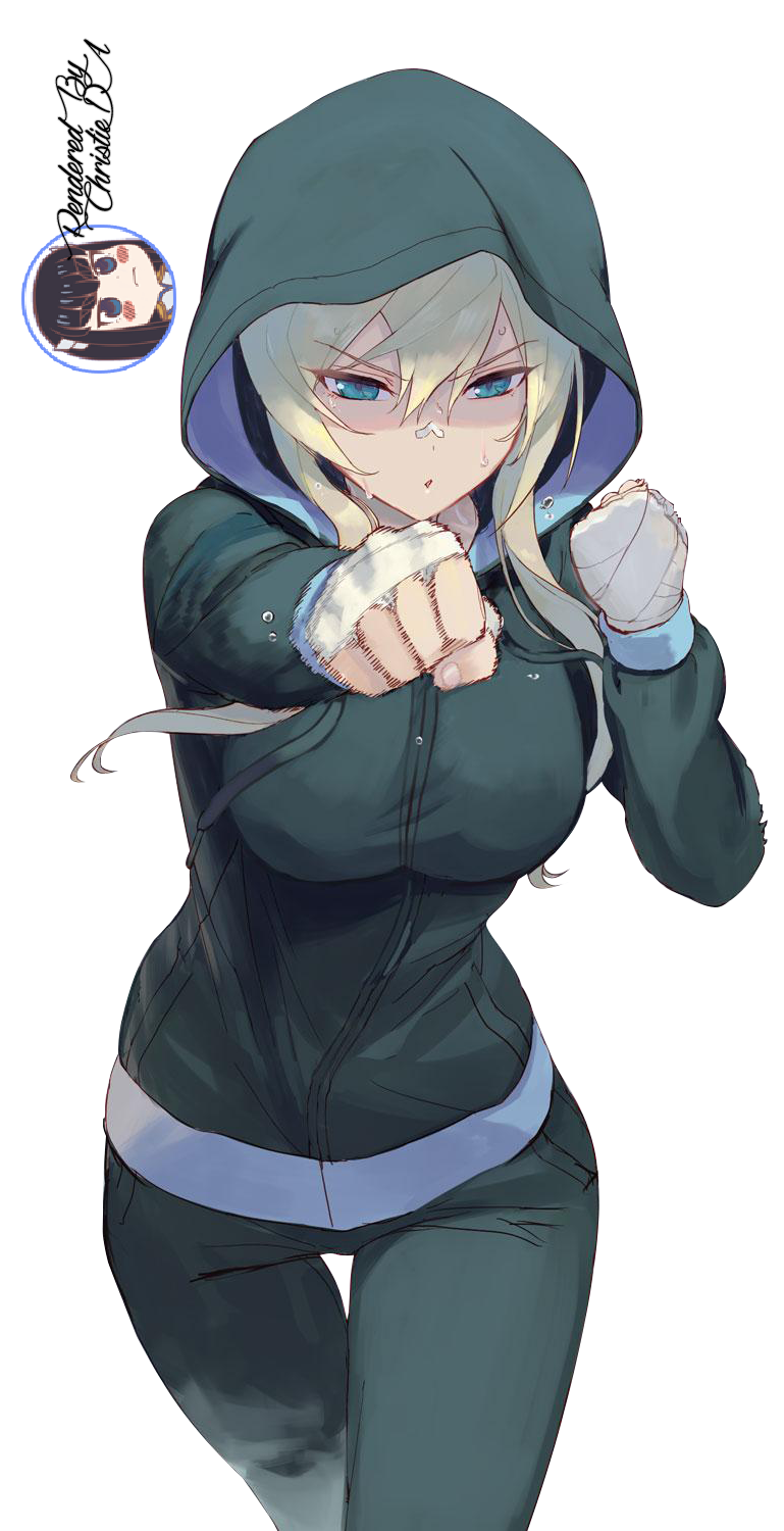 Fighter Anime Girl Render by ChristieDA on DeviantArt
