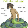 17 - Sudarshan