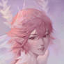 Portrait Commission