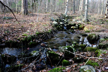 Woodland Stream in November by Geak-of-Nature