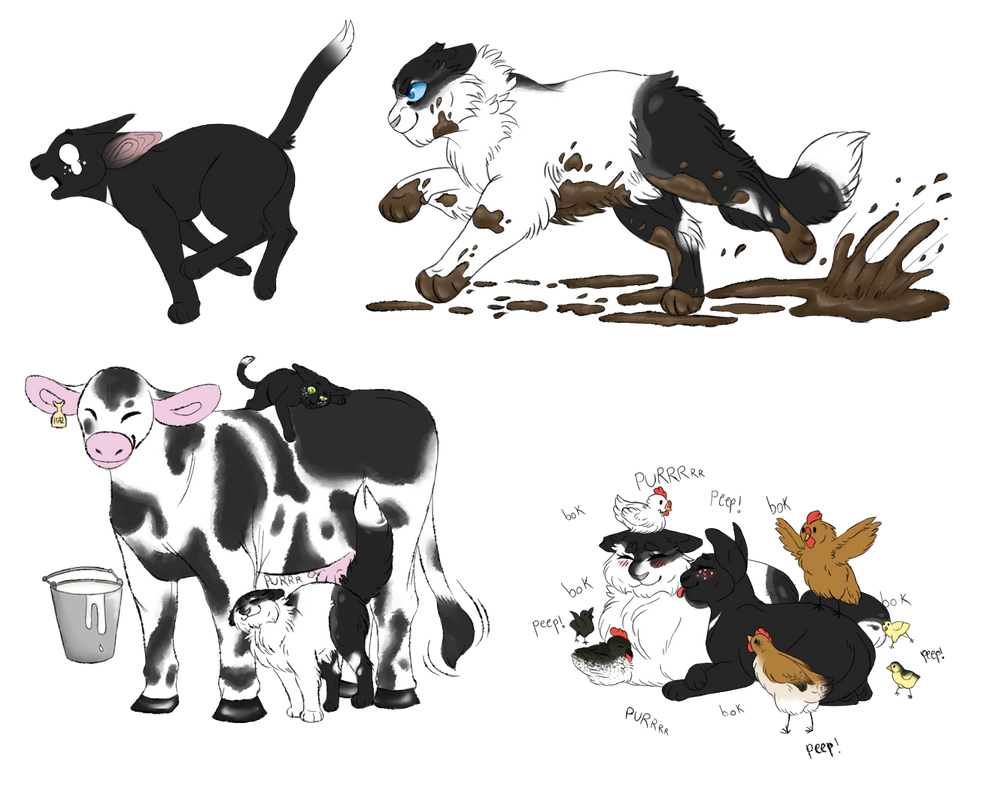 SSS warrior cats fan animation - Ravenpaw doodle you guys might enjoy ^^  -wanton