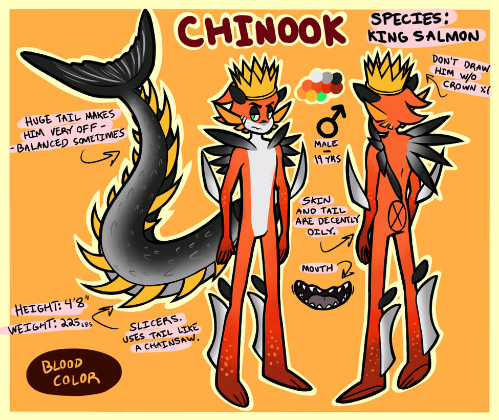 Chinook Reference by NeppyNeptune on DeviantArt