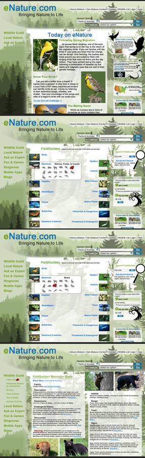 Interface: eNature Re-design