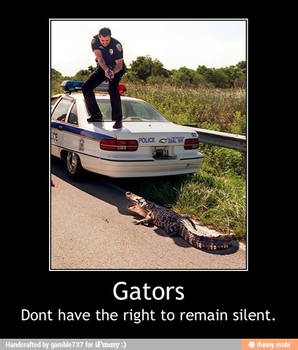 Gators