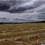 DALLE 2024-03-27 16.19.51 - Cut field, Cloudy gr
