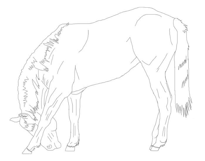 Bowing Horse Line Art By Shinymane1 On DeviantArt bowing-horse-line-art-by-shinymane1-on-deviantart