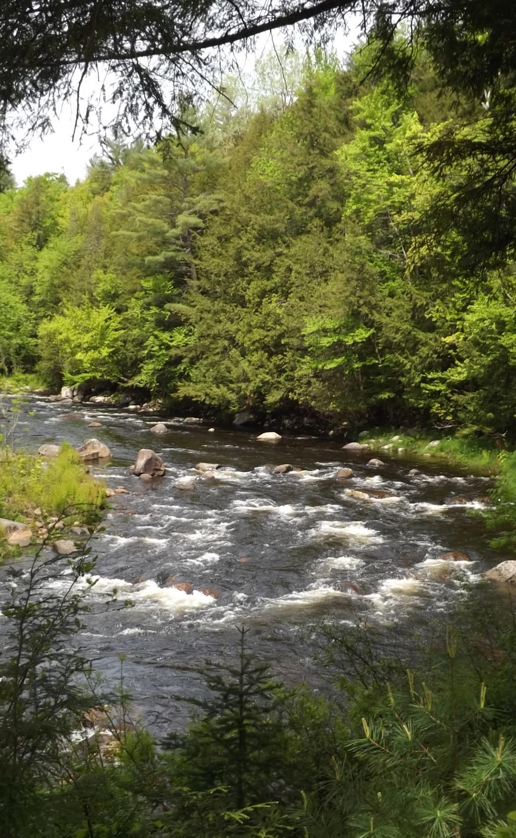 Natural Stone Bridge