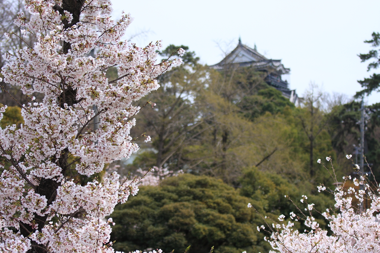 Okazaki Castle