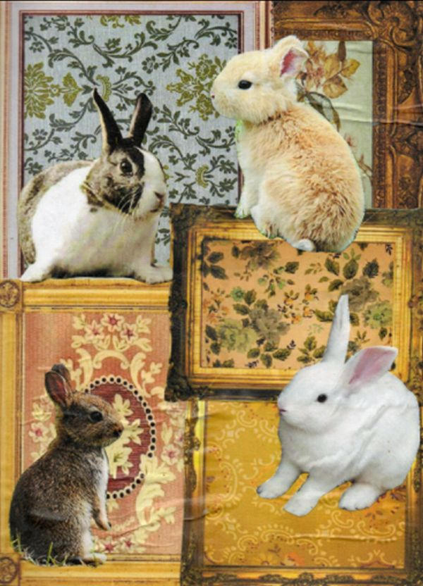 rabbits by modpodgedhearts on DeviantArt