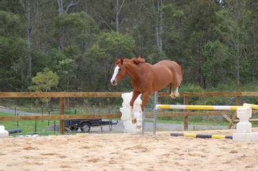 ASh - landing SJ bucking posit