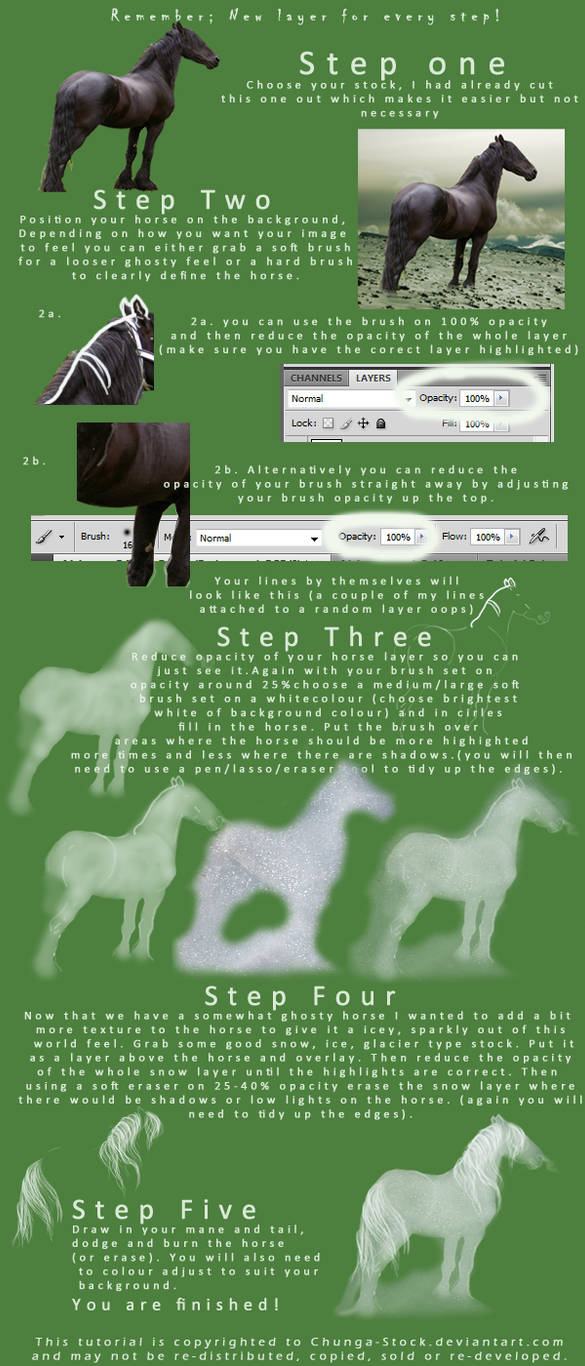 SCS Tutorial - Patronus Horse by Chunga-Stock