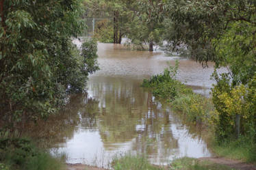 Flooded driveway