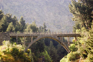 NZ Bridge in sunlight surrounded by nature