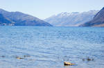 NZ Lake, mountain BG, blue tinged