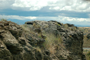 NZ Rock ledge dark sky