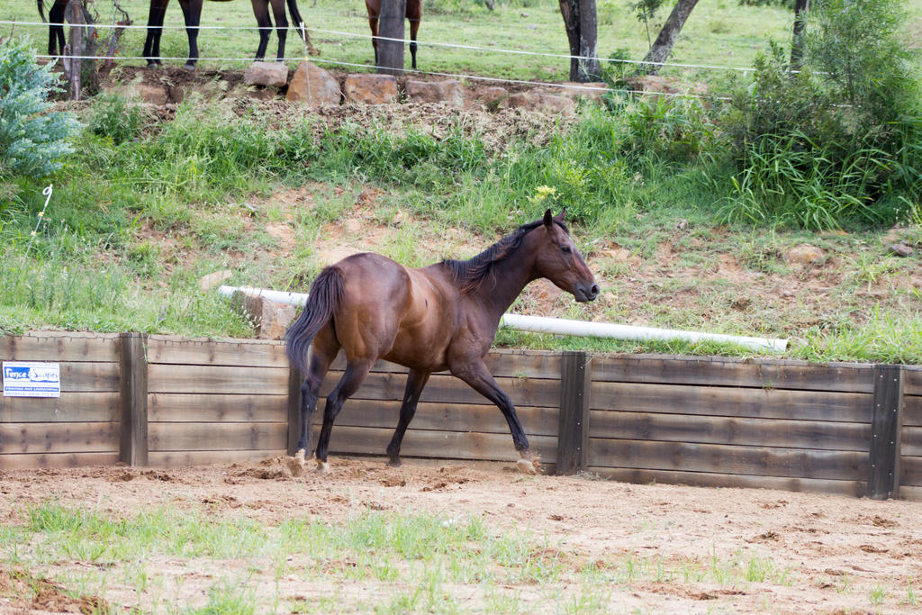 Km TB changing direction leg out to side side/bhin