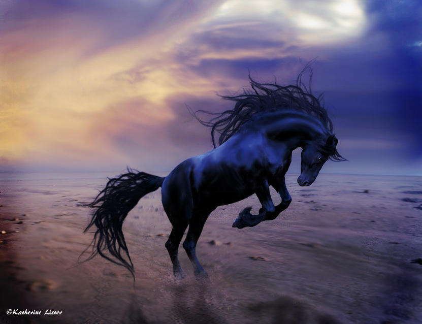 Черный конь песня. Фризская лошадь Буцефал. Черный конь. Мустанг лошадь черный. Красивый черный конь.