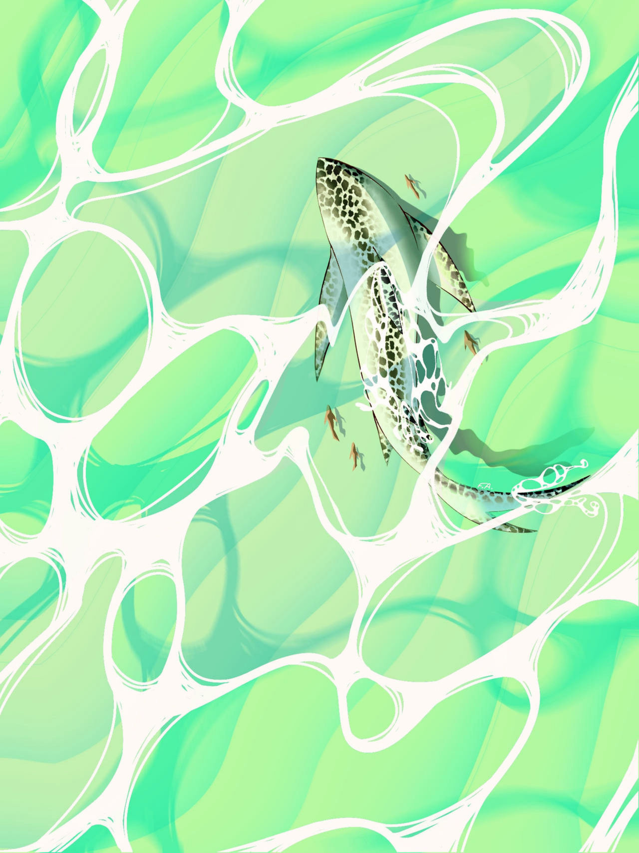 Speckled Piebald Shark