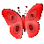 butterfly animation 5