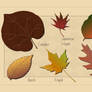 Leaf Collection