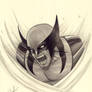 Wolverine Marker Sketch