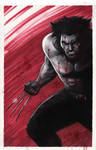 Wolverine by Protokitty