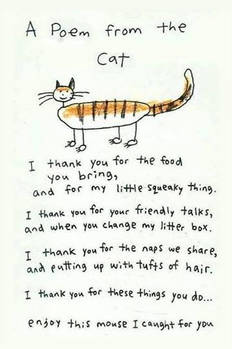 A cat's poem