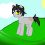 PONYSTUCK