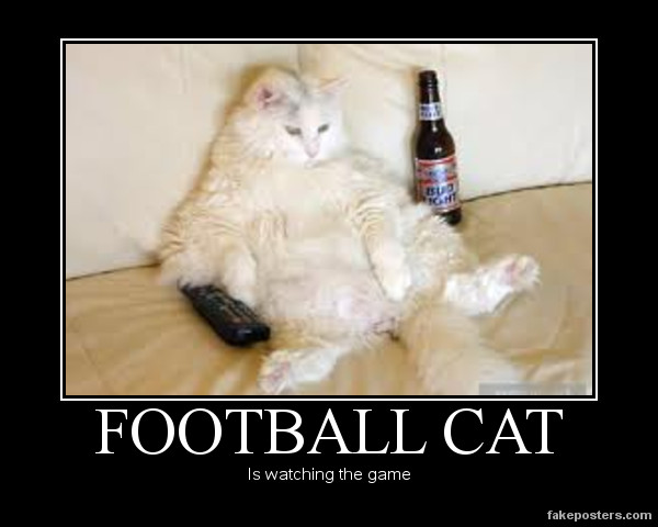 Football Cat