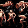 Silent Hill Critters