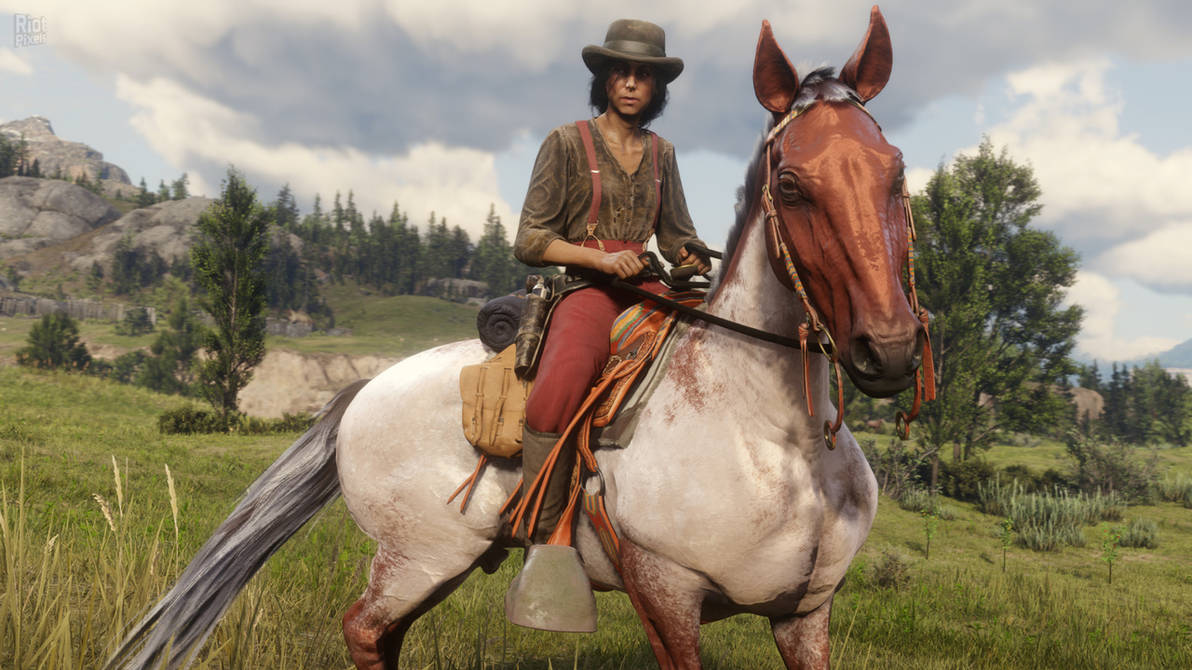 Быстрая лошадь в рдр. Red Dead Redemption 2 кони. Лошади в ред деад редемптион 2. Red Dead Redemption 2 лошади.
