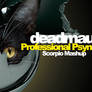 Professional Psynapse (Scorpio Mashup) Promo WP