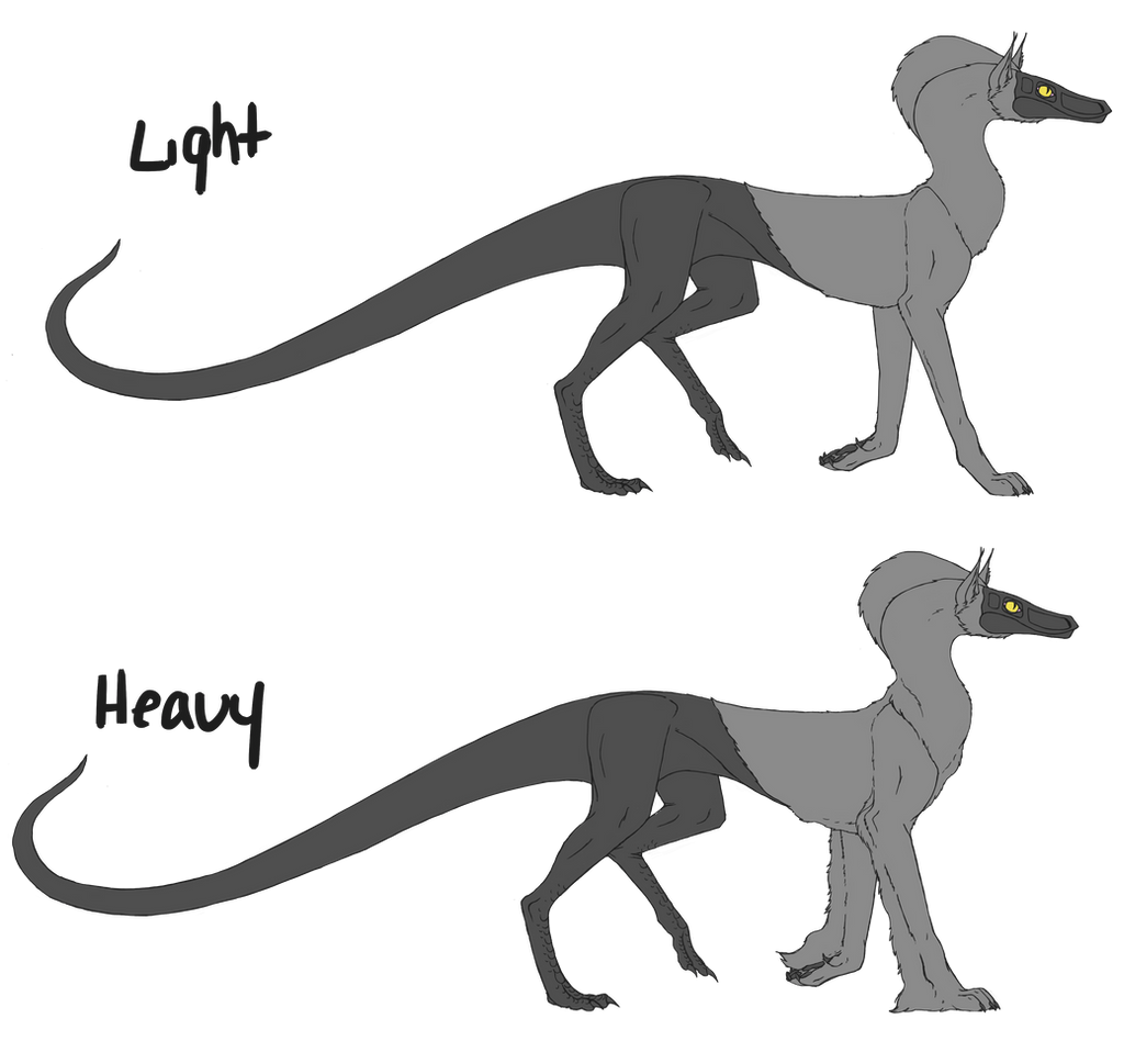 Variant Sindow Coat Types