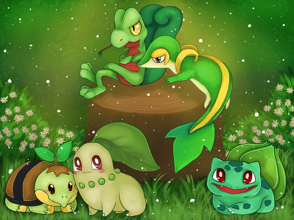 The Grass Starters