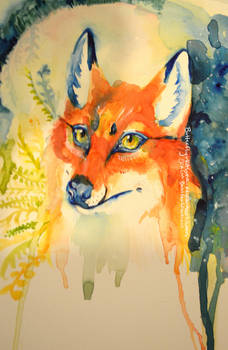 Red Fox Star Sky and Plants Watercolor