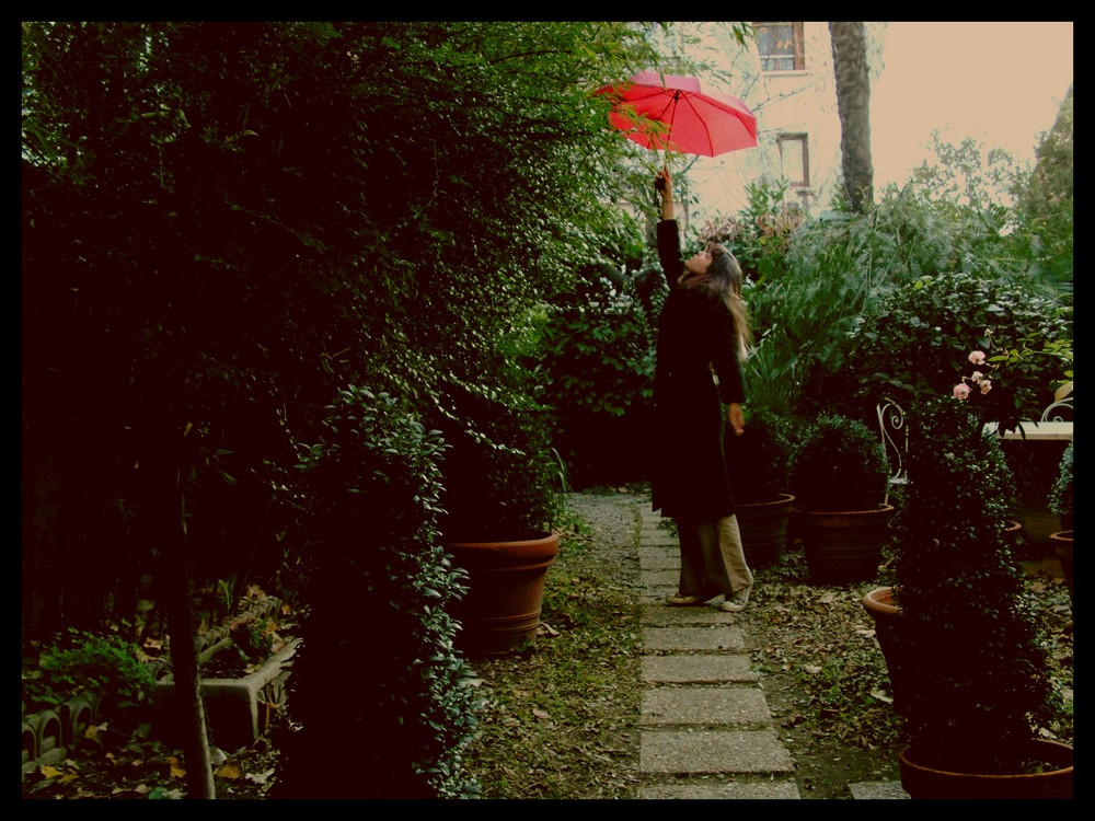 Parapluie +