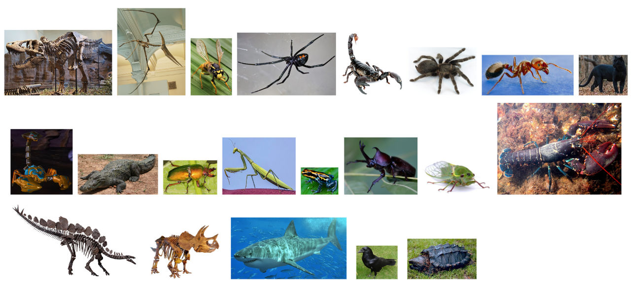 Transformers Finest Hour: Predacons by OptimusHunter29 on DeviantArt