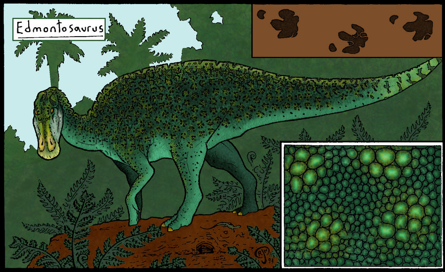 Edmontosaurus, with Details