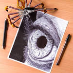 Eye pen drawing