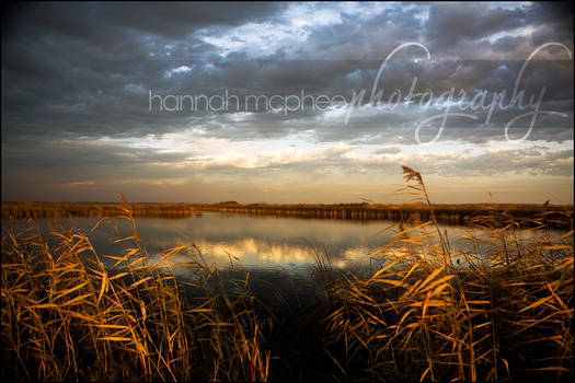 Oak Hammock Marsh