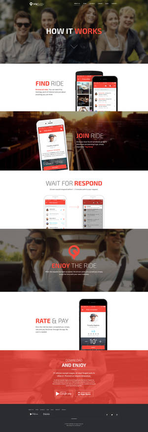 Trip buddy - landing page for web application