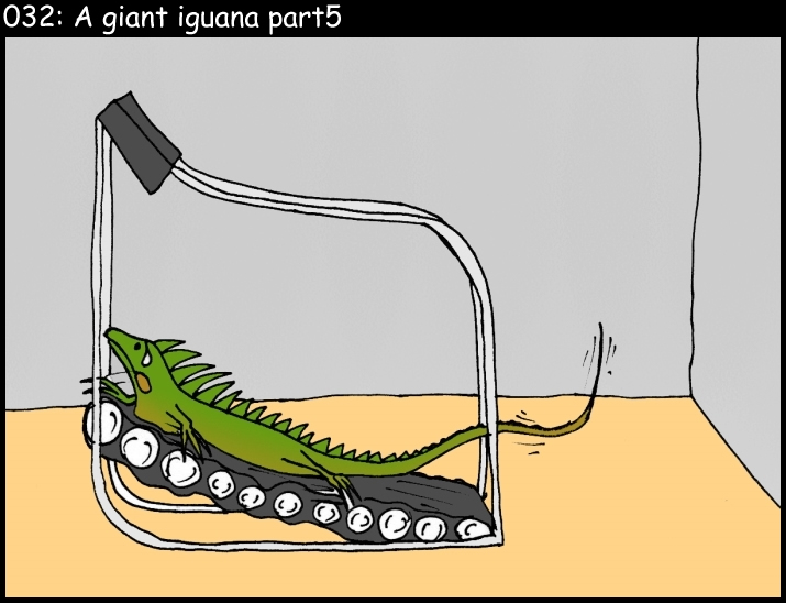 A giant iguana 5