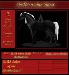 Assassin's Finest: Nero