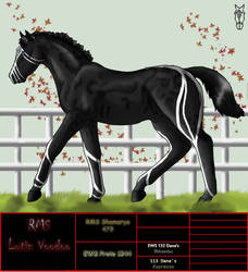 1759 RMS Lutin Voodoo