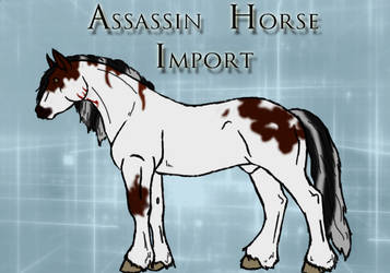 Assasin Horse Import: 2013 Edition #3 by PrimalInstincts