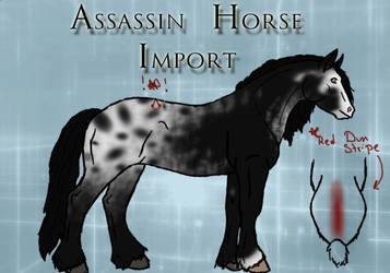 Assasin Horse Import: 2013 Edition #7 by PrimalInstincts