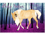 Lady Dalya | Doe | Glenmore Royal
