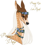 Princess Diosa | Doe | Glenmore Princess